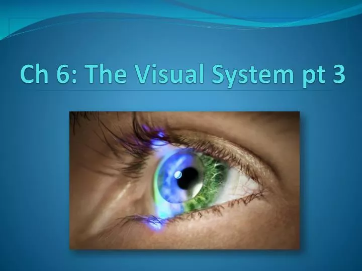 ch 6 the visual system pt 3