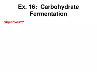 Ex. 16: Carbohydrate Fermentation