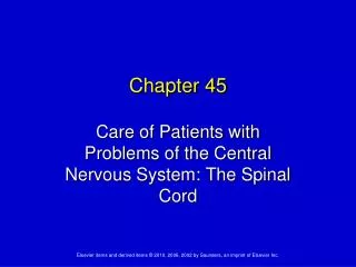 Care of Patients with Problems of the Central Nervous System: The Spinal Cord
