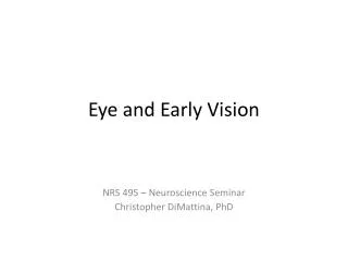 Eye and Early Vision