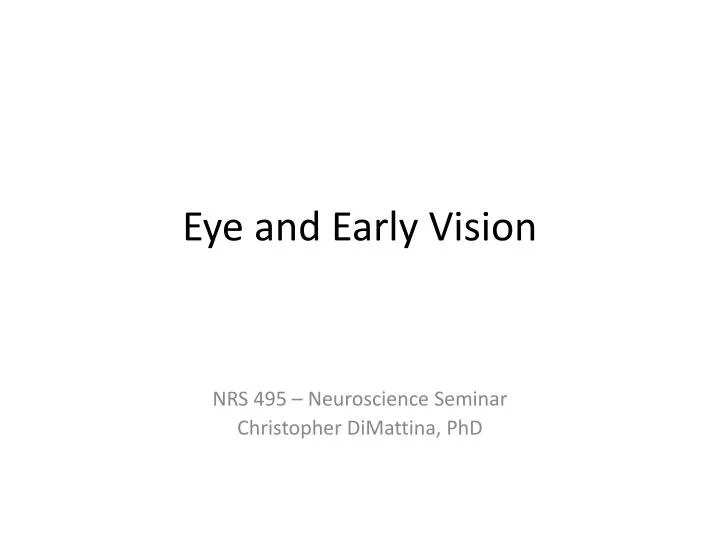 eye and early vision