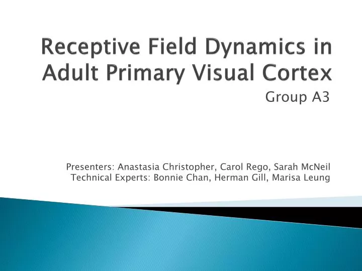 receptive field dynamics in adult primary visual cortex