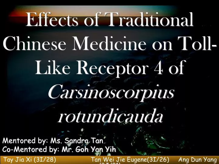 effects of traditional chinese medicine on toll like receptor 4 of carsinoscorpius rotundicauda