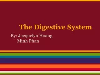 The Digestive System