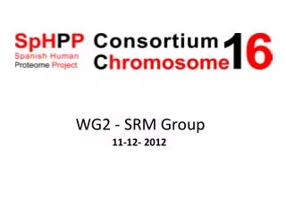 WG2 - SRM Group