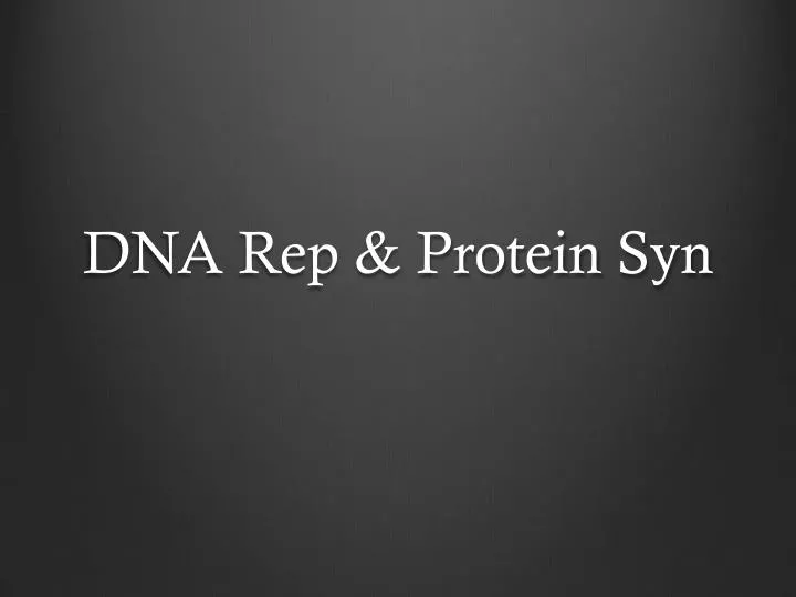 dna rep protein syn