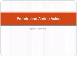 Protein and Amino Acids