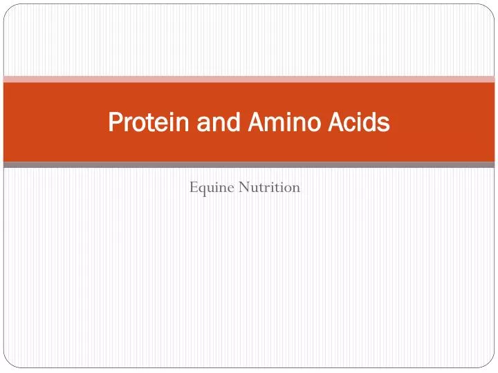 protein and amino acids