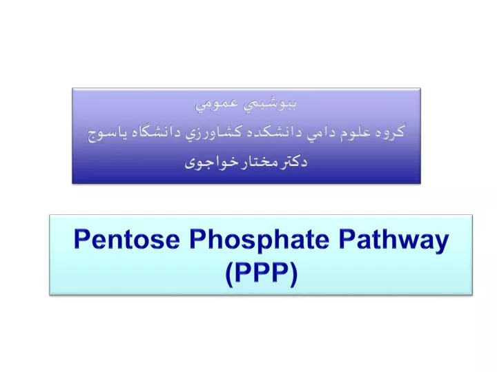 pentose phosphate pathway ppp