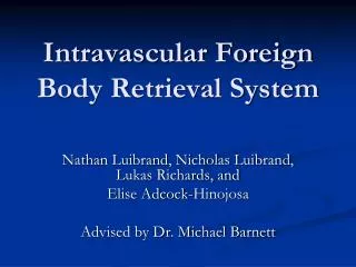 Intravascular Foreign Body Retrieval System