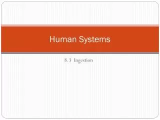 Human Systems