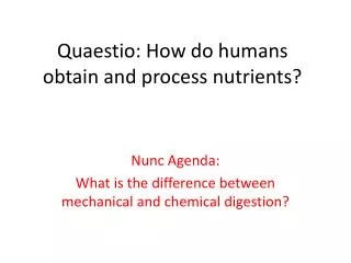 Quaestio: How do humans obtain and process nutrients?
