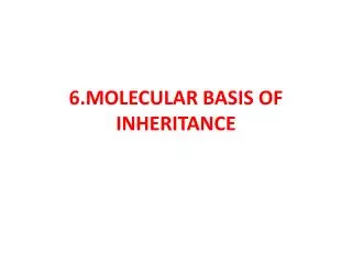 6.MOLECULAR BASIS OF INHERITANCE