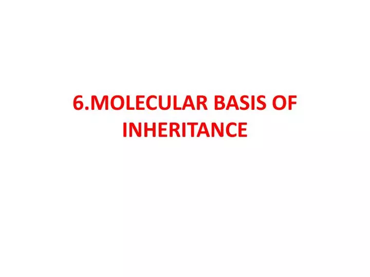 6 molecular basis of inheritance
