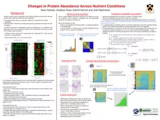 Changes in Protein Abundance Across Nutrient Conditions