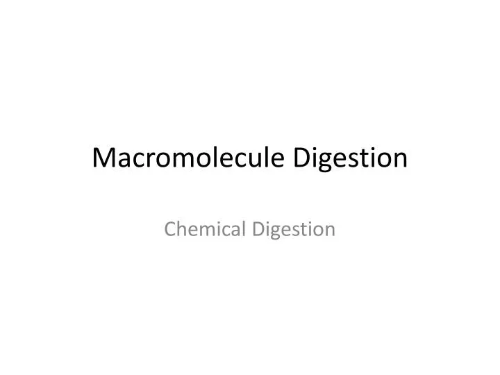 macromolecule digestion