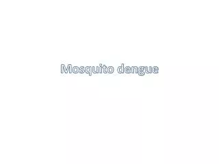 mosquito dengue