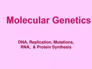 DNA, Replication, Mutations, RNA, &amp; Protein Synthesis