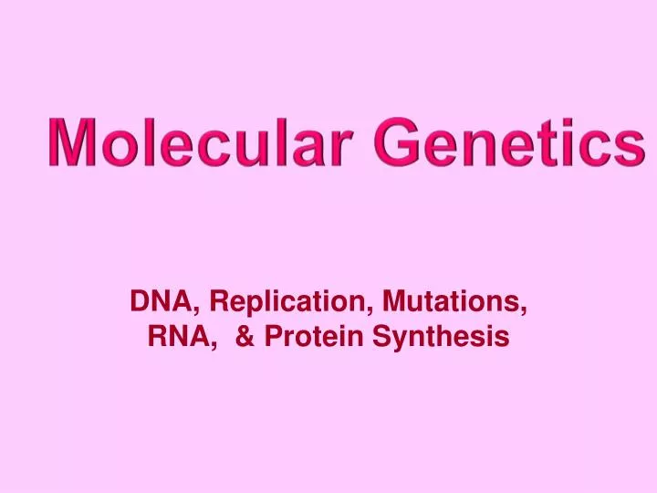 dna replication mutations rna protein synthesis