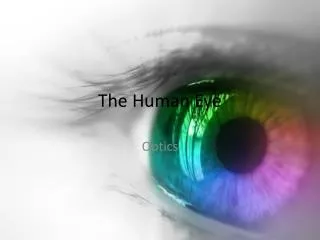 The Human Eye