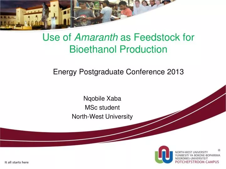 use of amaranth as feedstock for bioethanol production energy postgraduate conference 2013
