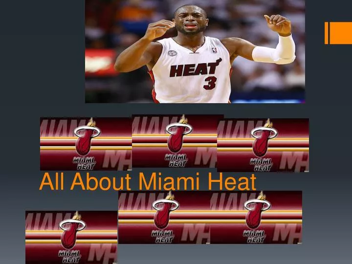 all about miami heat