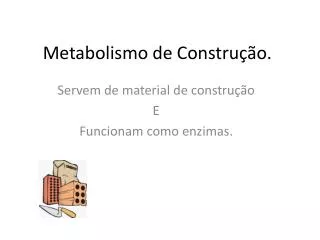 metabolismo de constru o