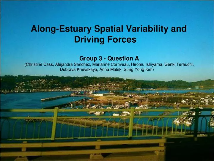 along estuary spatial variability and driving forces