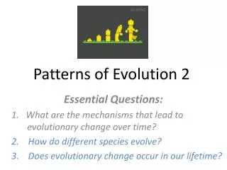 Patterns of Evolution 2