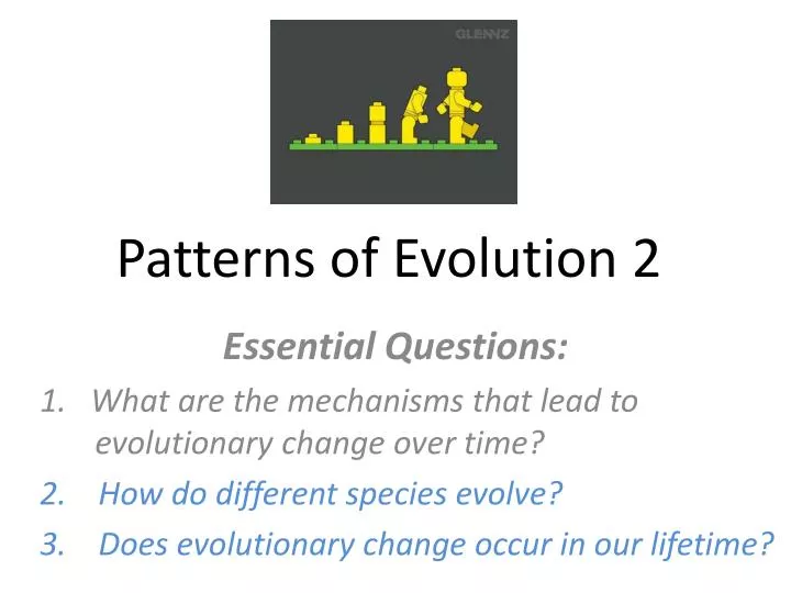 patterns of evolution 2