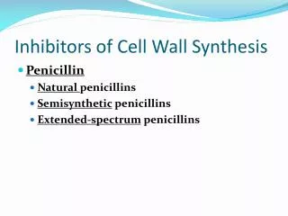 Inhibitors of Cell Wall Synthesis