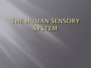 The Human Sensory System