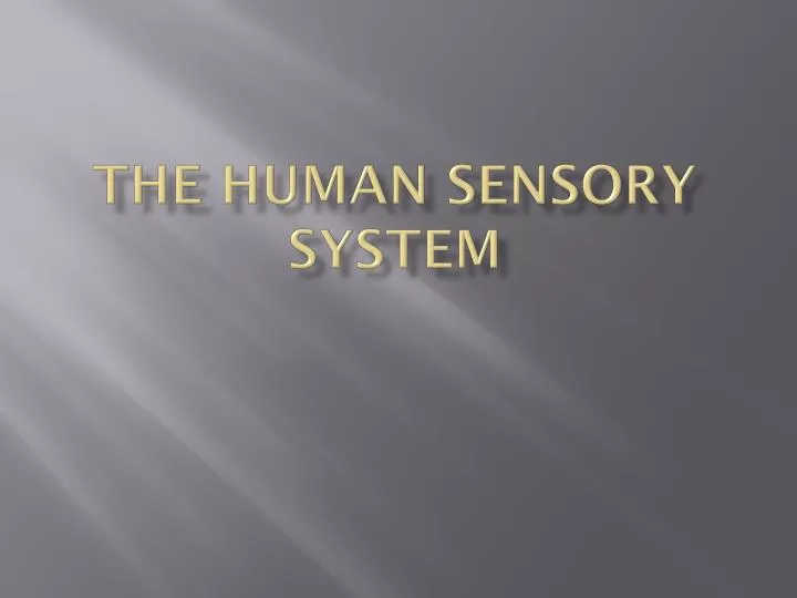 the human sensory system