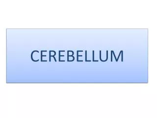 CEREBELLUM