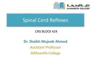 Spinal Cord Reflexes