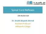 Spinal Cord Reflexes - slide 1