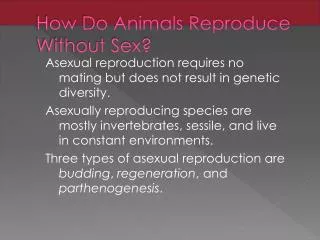How Do Animals Reproduce Without Sex?