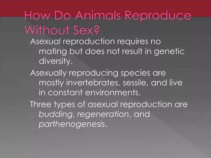 how do animals reproduce without sex