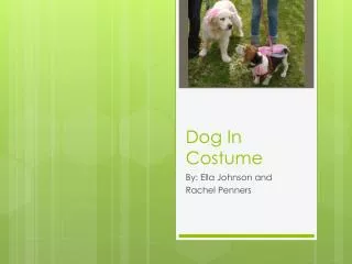 Dog In Costume