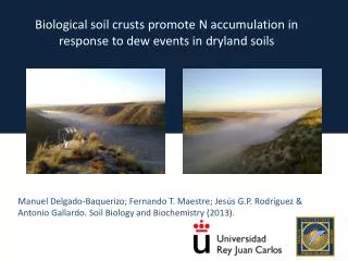 Biological soil crusts promote N accumulation in response to dew events in dryland soils