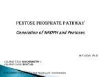 Pentose Phosphate Pathway - slide 1
