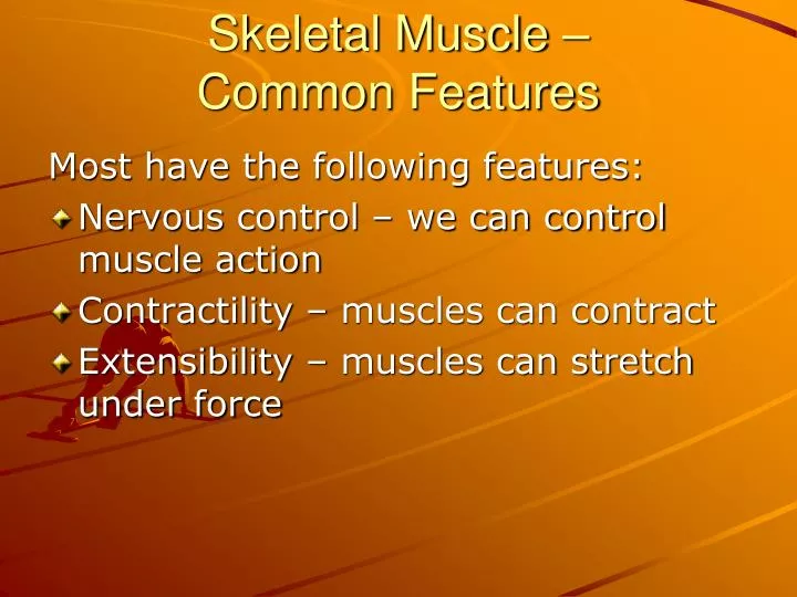 skeletal muscle common features