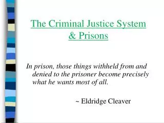 The Criminal Justice System &amp; Prisons