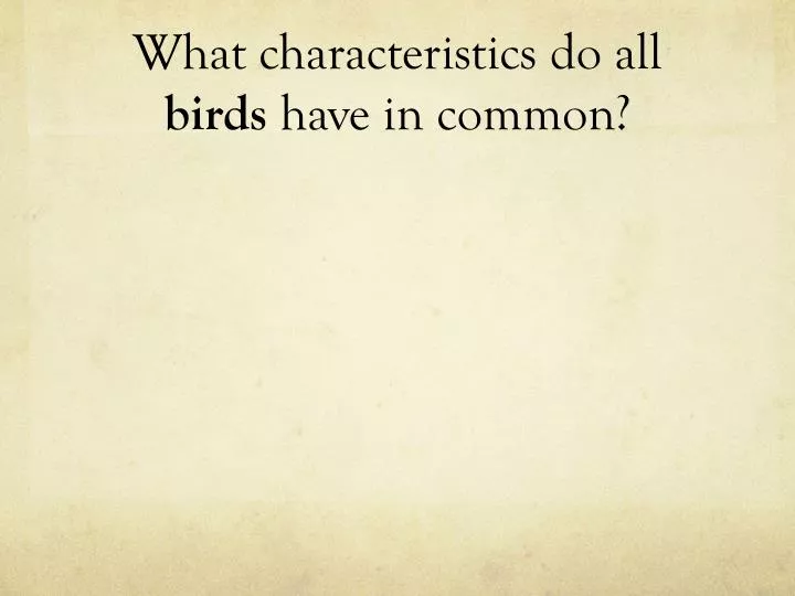 what characteristics do all birds have in common
