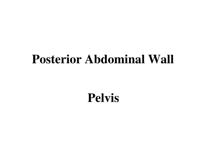 posterior abdominal wall