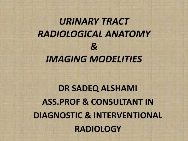 urinary tract radiological anatomy imaging modelities