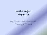 Protist Project Algae-like - slide 1