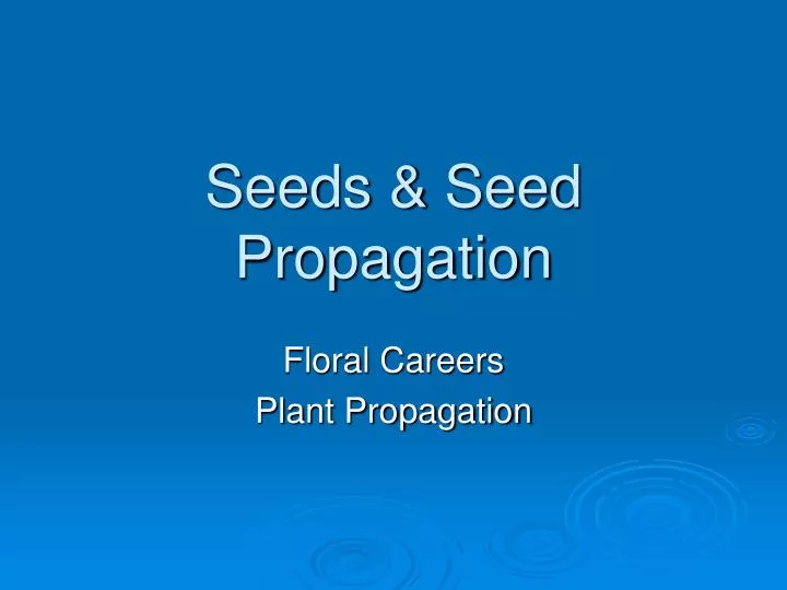 seeds seed propagation