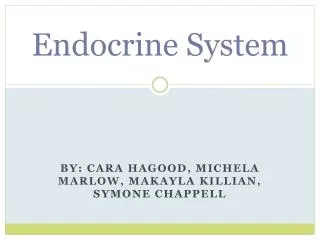 Endocrine System