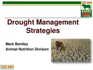 Drought Management Strategies